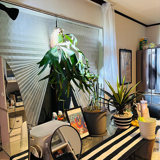 paris28さんの実例写真