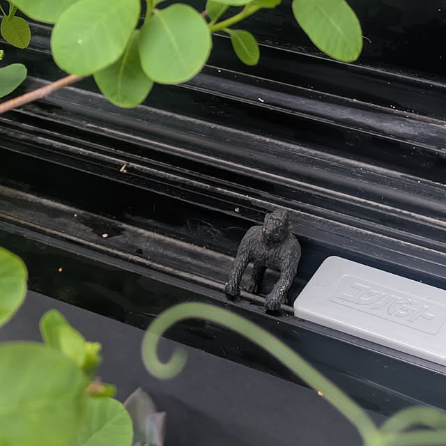 mori_6_12さんの部屋