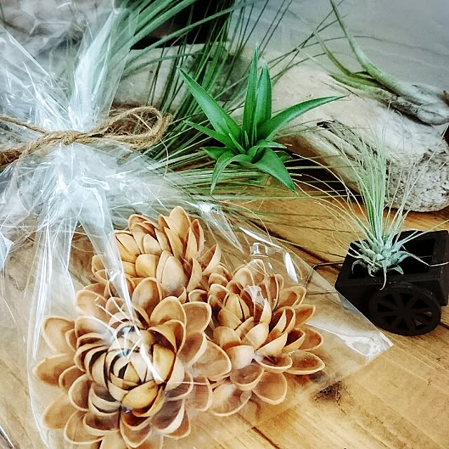 mamimamipockyさんの実例写真