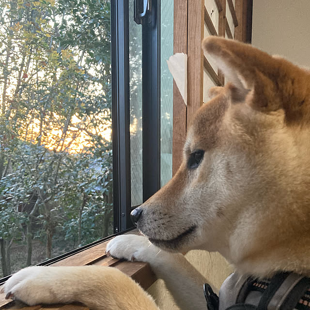 luckyさんの実例写真