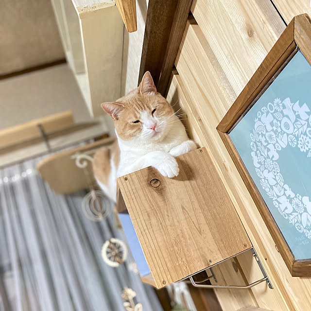 mintteaさんの部屋