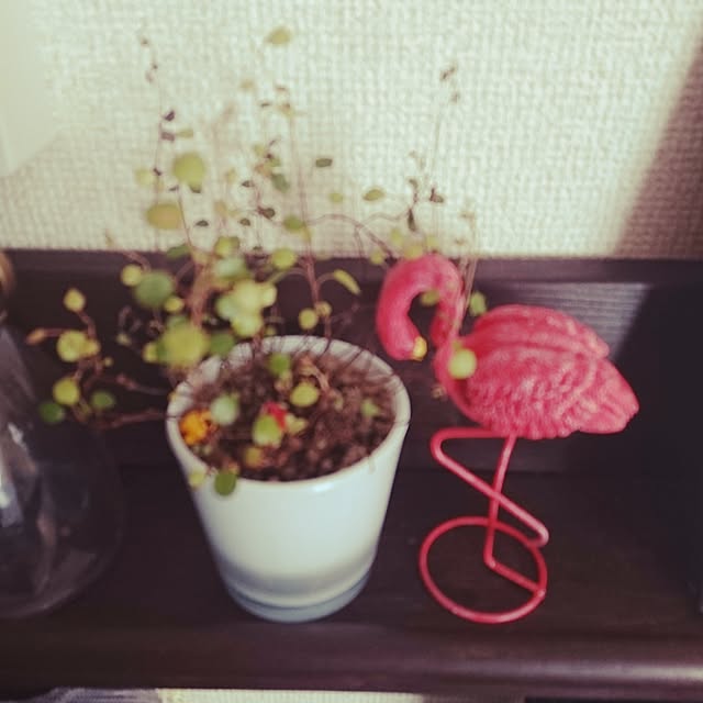YUKIさんの実例写真
