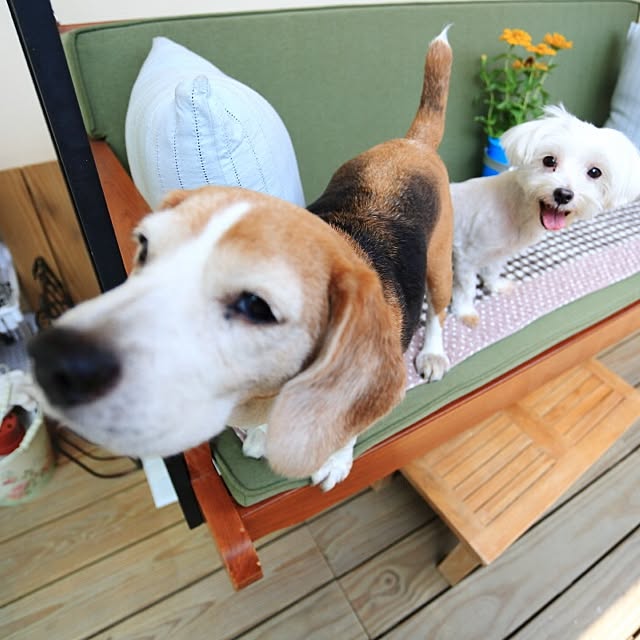 Kumiさんの実例写真