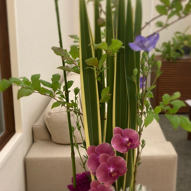 cahoさんの実例写真