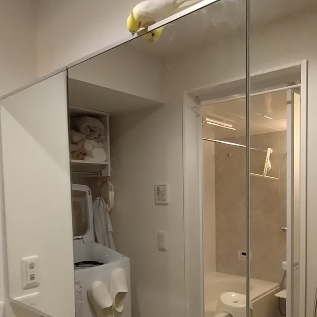 toratanさんの実例写真