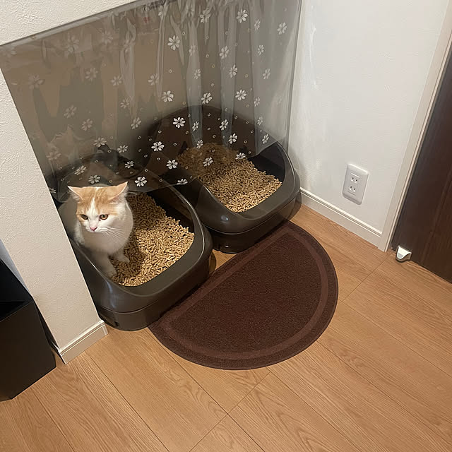 yumiさんの部屋