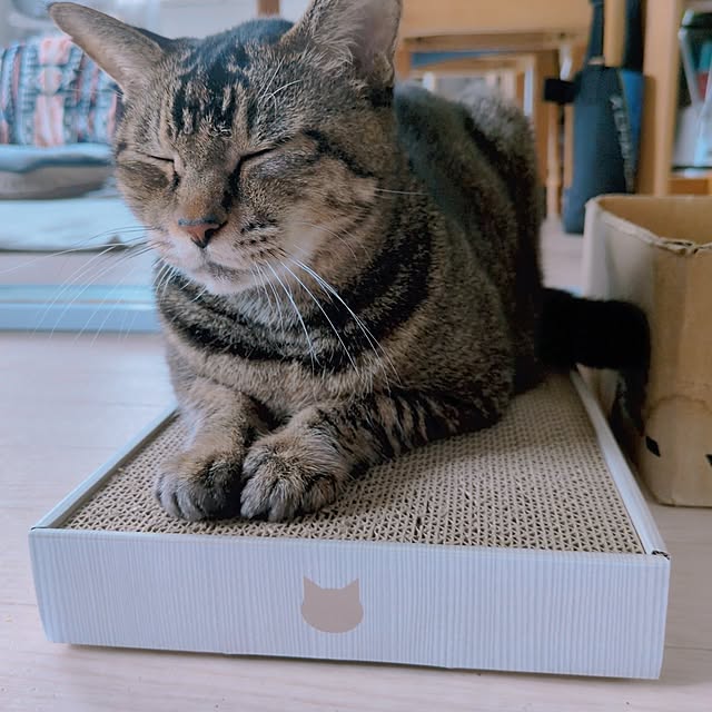 cocomintさんの部屋