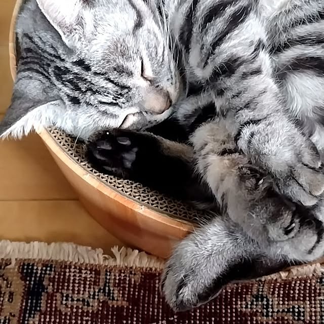 hiro3さんの部屋
