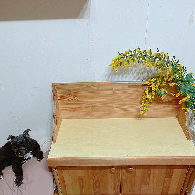 Chipさんの実例写真