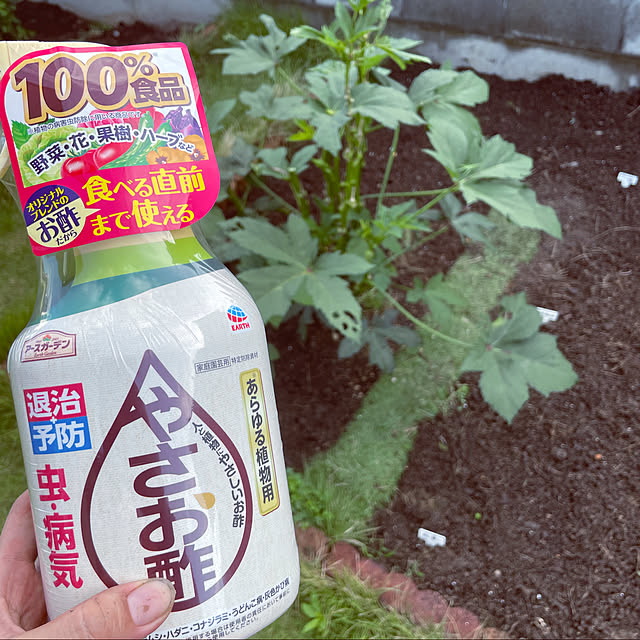 seiさんの実例写真