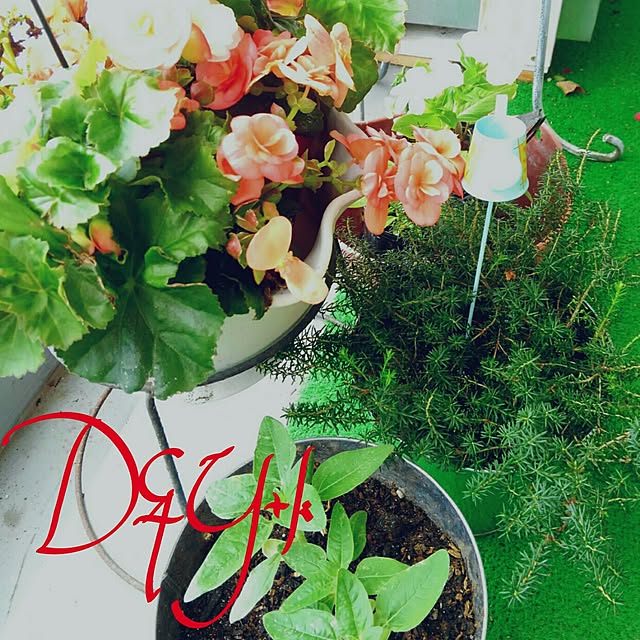 DandYkさんの実例写真