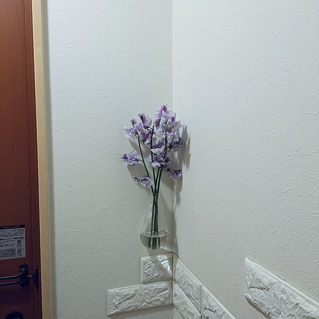 Shion+さんの部屋