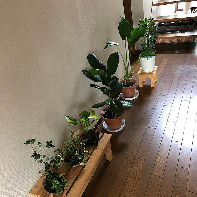 pirokoさんの実例写真