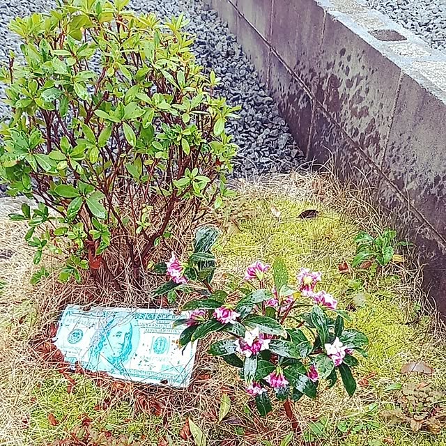 shiiitanさんの部屋