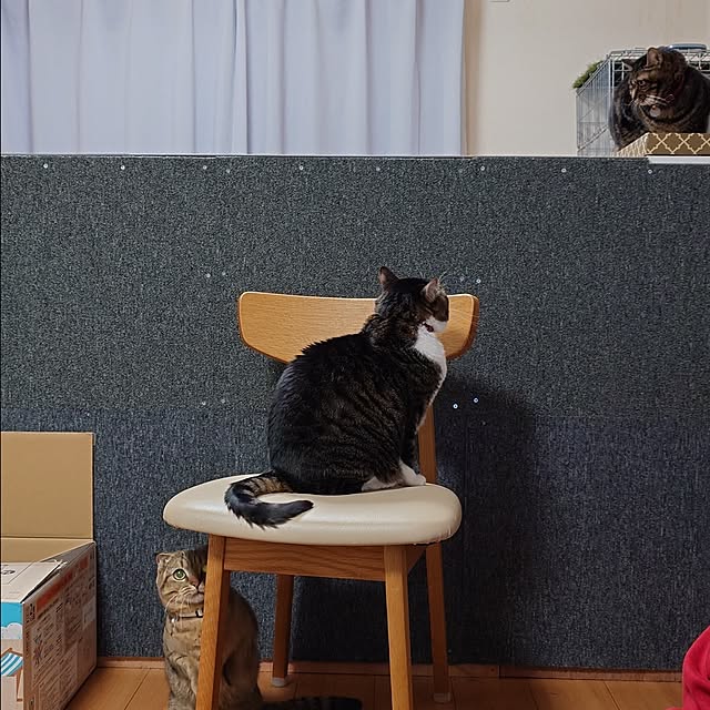 noguriさんの実例写真