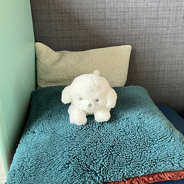 hikaruuさんの実例写真