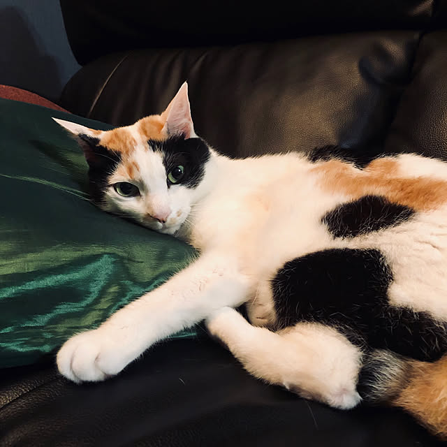 mmさんの実例写真