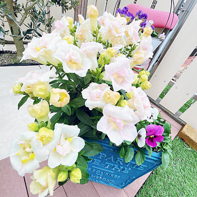 moolさんの部屋