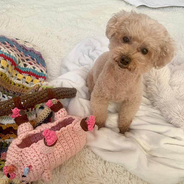 Momoさんの実例写真