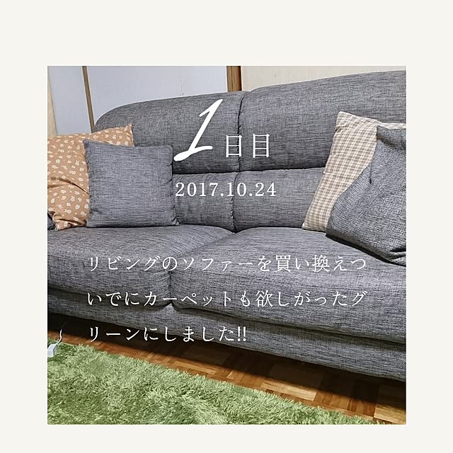 ameamekaasanさんの実例写真