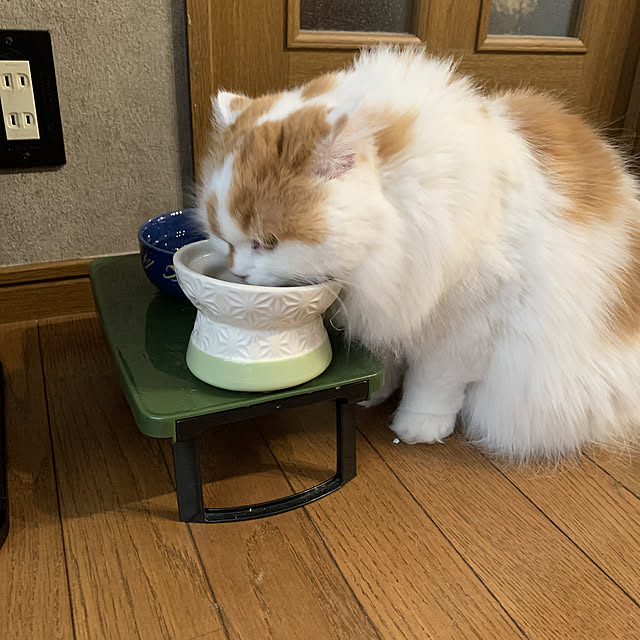 keiさんの実例写真