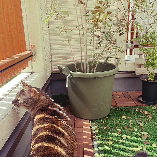 queさんの実例写真