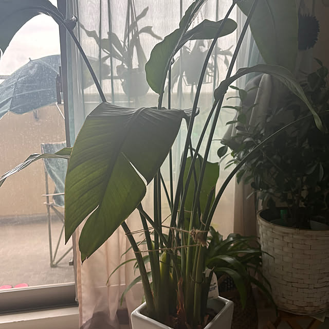 misaさんの部屋