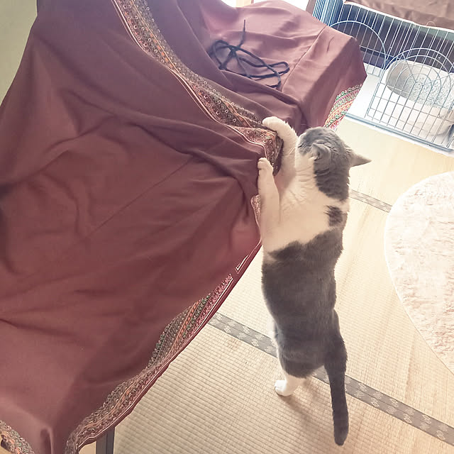 rhuさんの実例写真