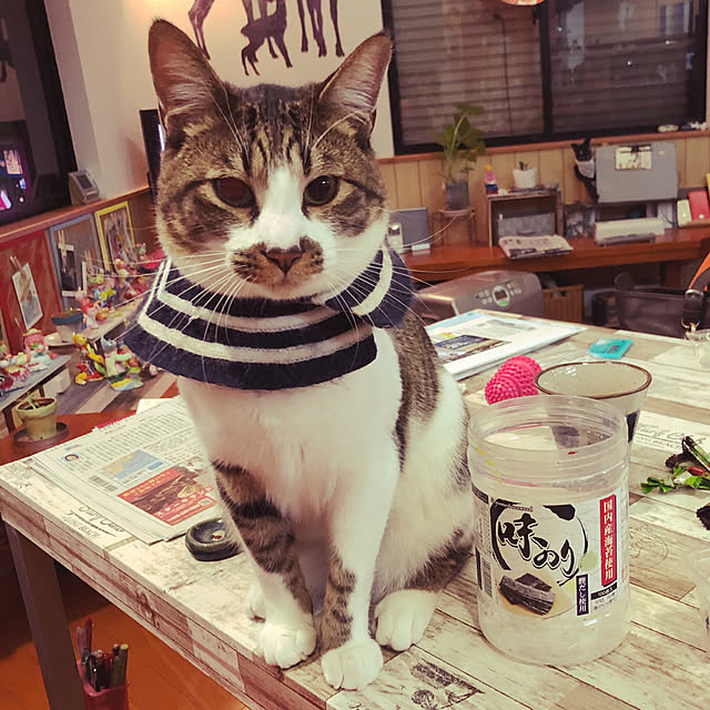 jijiさんの実例写真