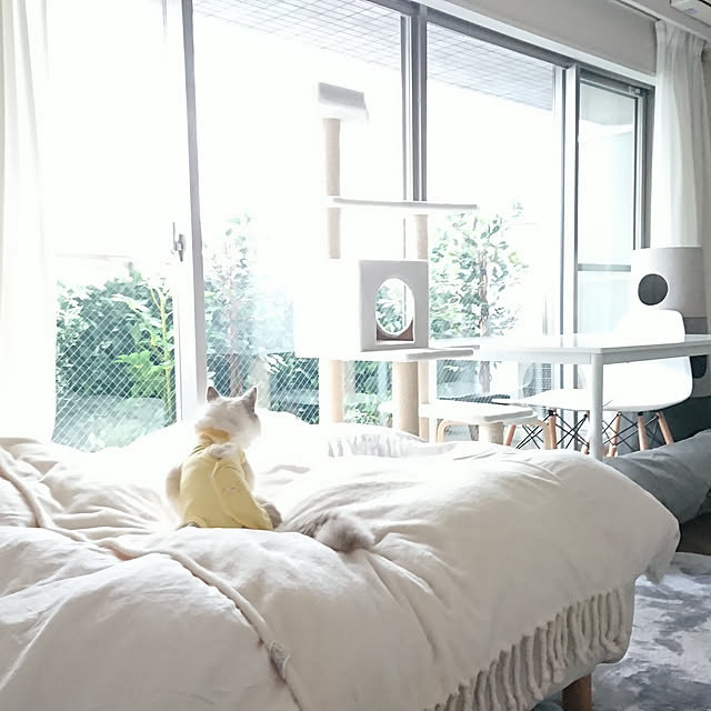 sumishouseさんの実例写真