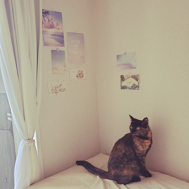 JIHYEさんの実例写真
