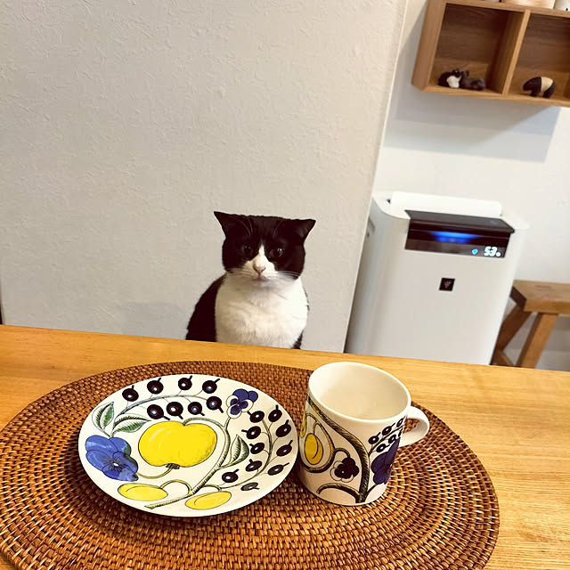 hihaさんの実例写真