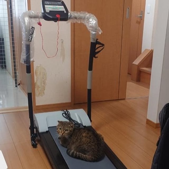 noguriさんの部屋