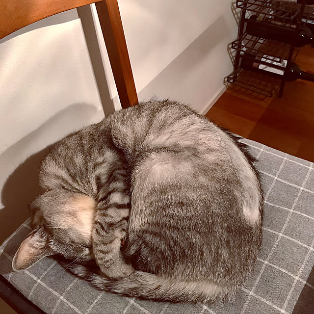 maroさんの実例写真