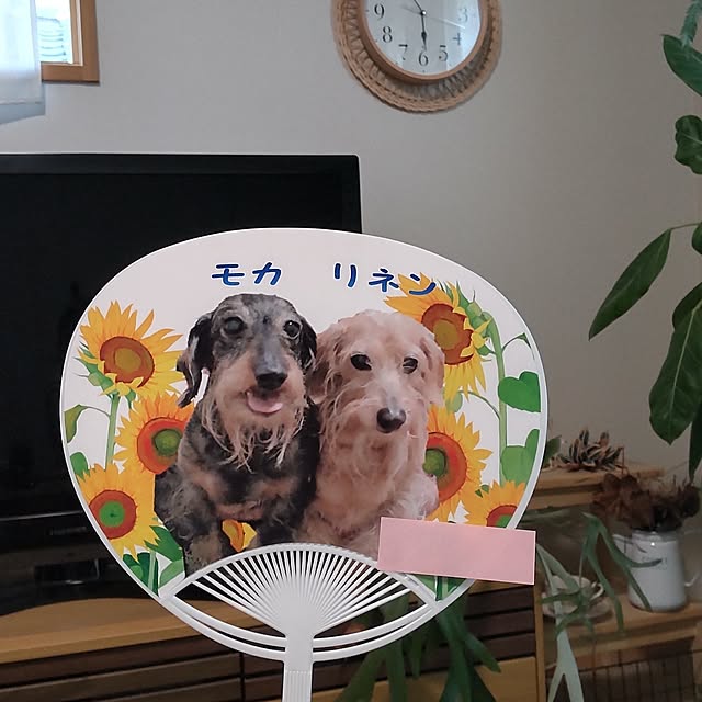 chocococoaさんの部屋