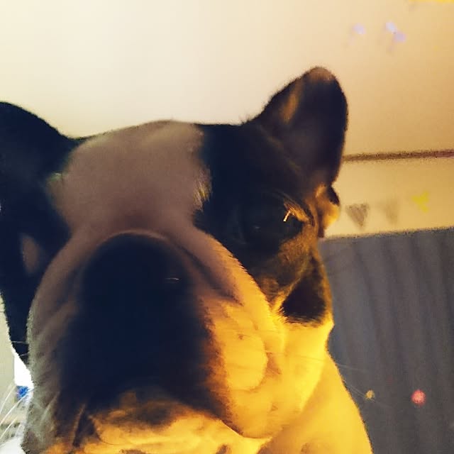 maiさんの実例写真
