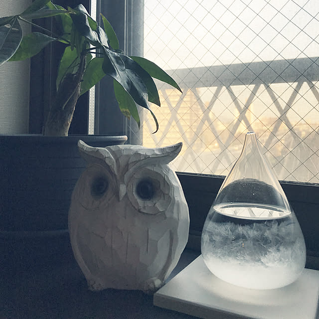rinrinさんの実例写真