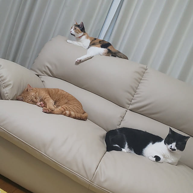 kazuminさんの実例写真