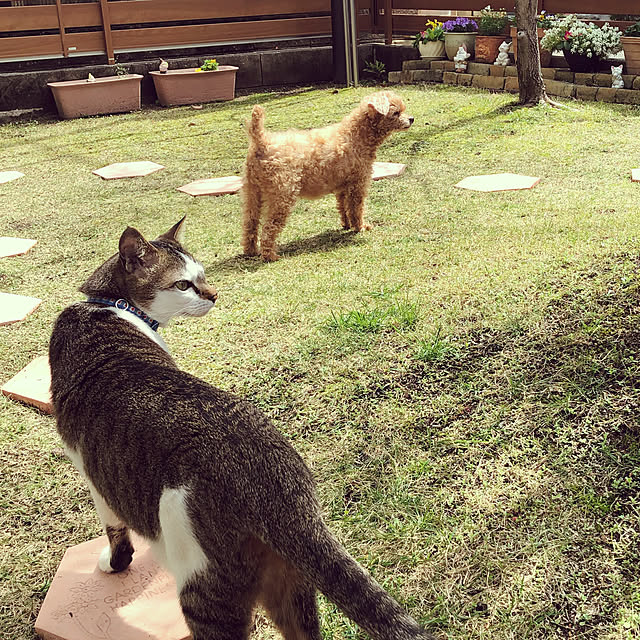 haruminさんの実例写真