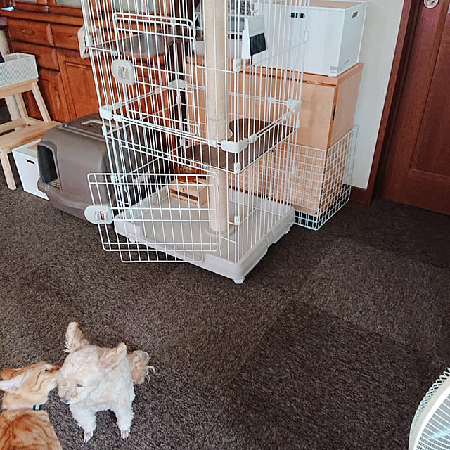 kikiさんの実例写真