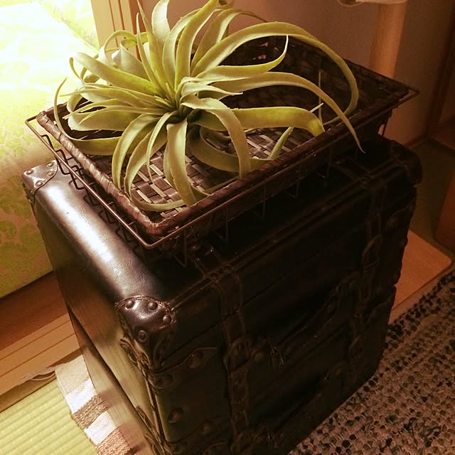 akky914さんの実例写真