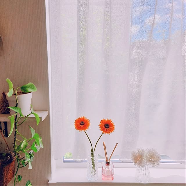 surviveさんの実例写真