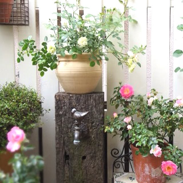 mooさんの実例写真