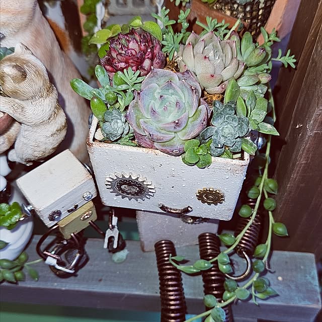 mocomocoさんの部屋