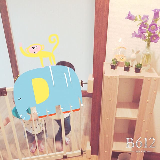 実例写真
