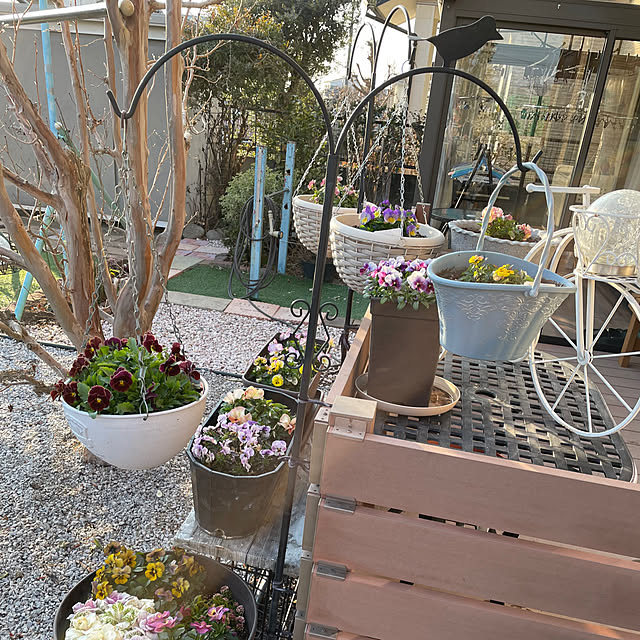 ronronさんの部屋