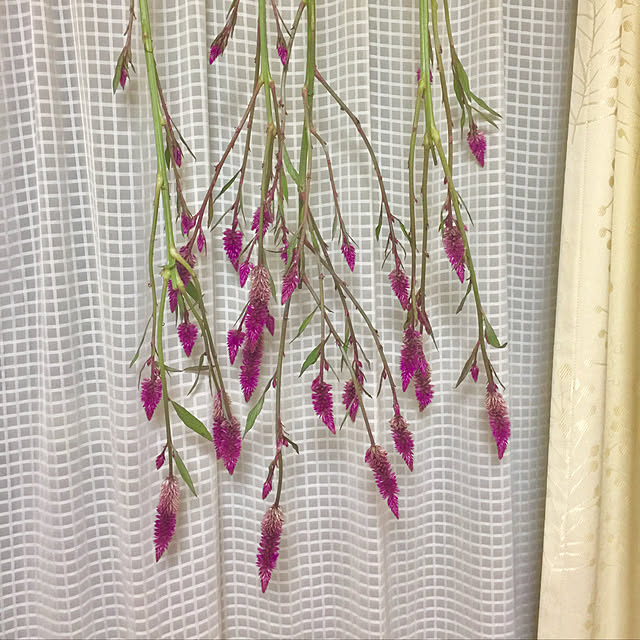 kojiro120513さんの実例写真