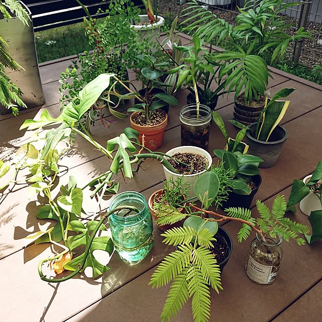 urchinさんの部屋