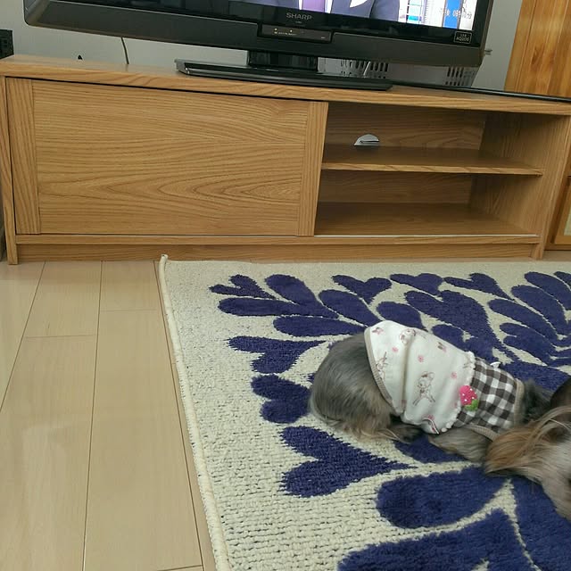 loliontoaliceveさんの実例写真