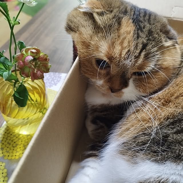 hiro3さんの部屋